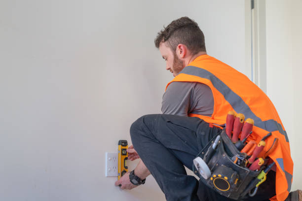 Best Electric Panel Repair  in Round Lake, IL
